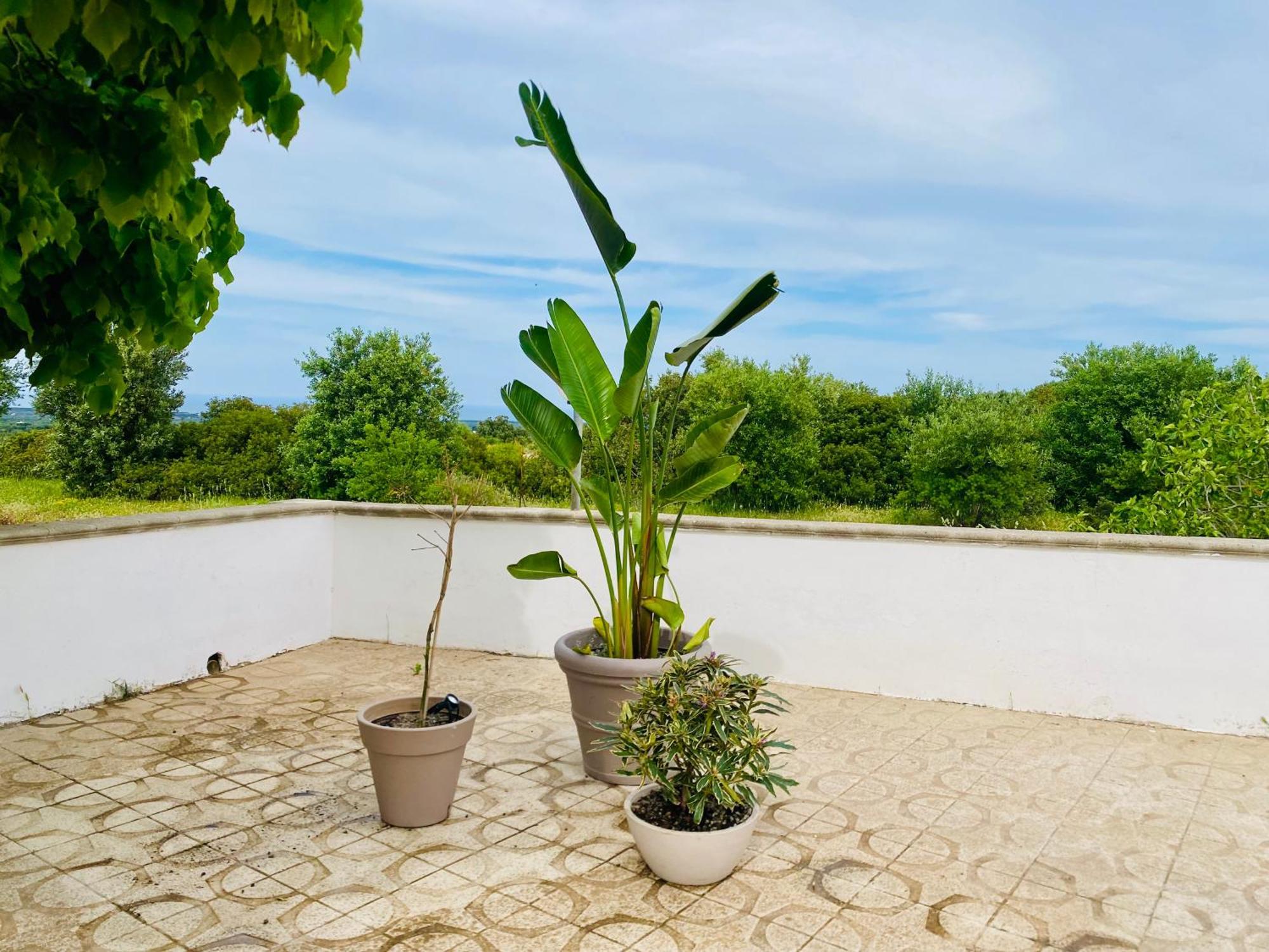 Villa Mimi Ostuni Extérieur photo